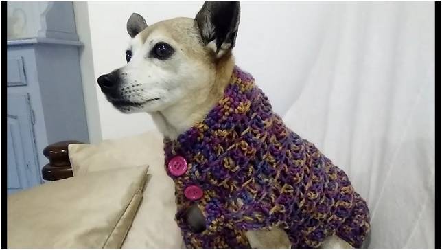 Crochet Sweaters For Dogs