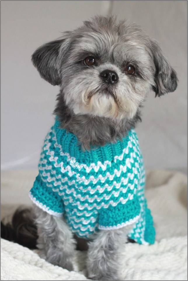 Crochet Sweaters For Small Dogs