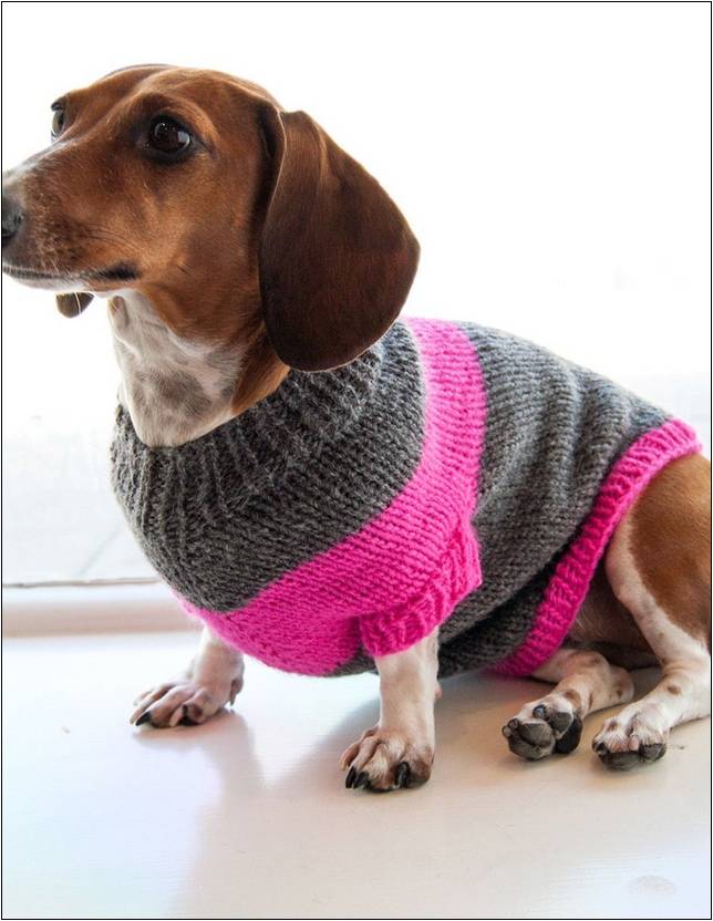 Crochet Wiener Dog Sweater