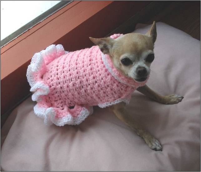 Free Crochet Patterns For Small Dog Sweaters